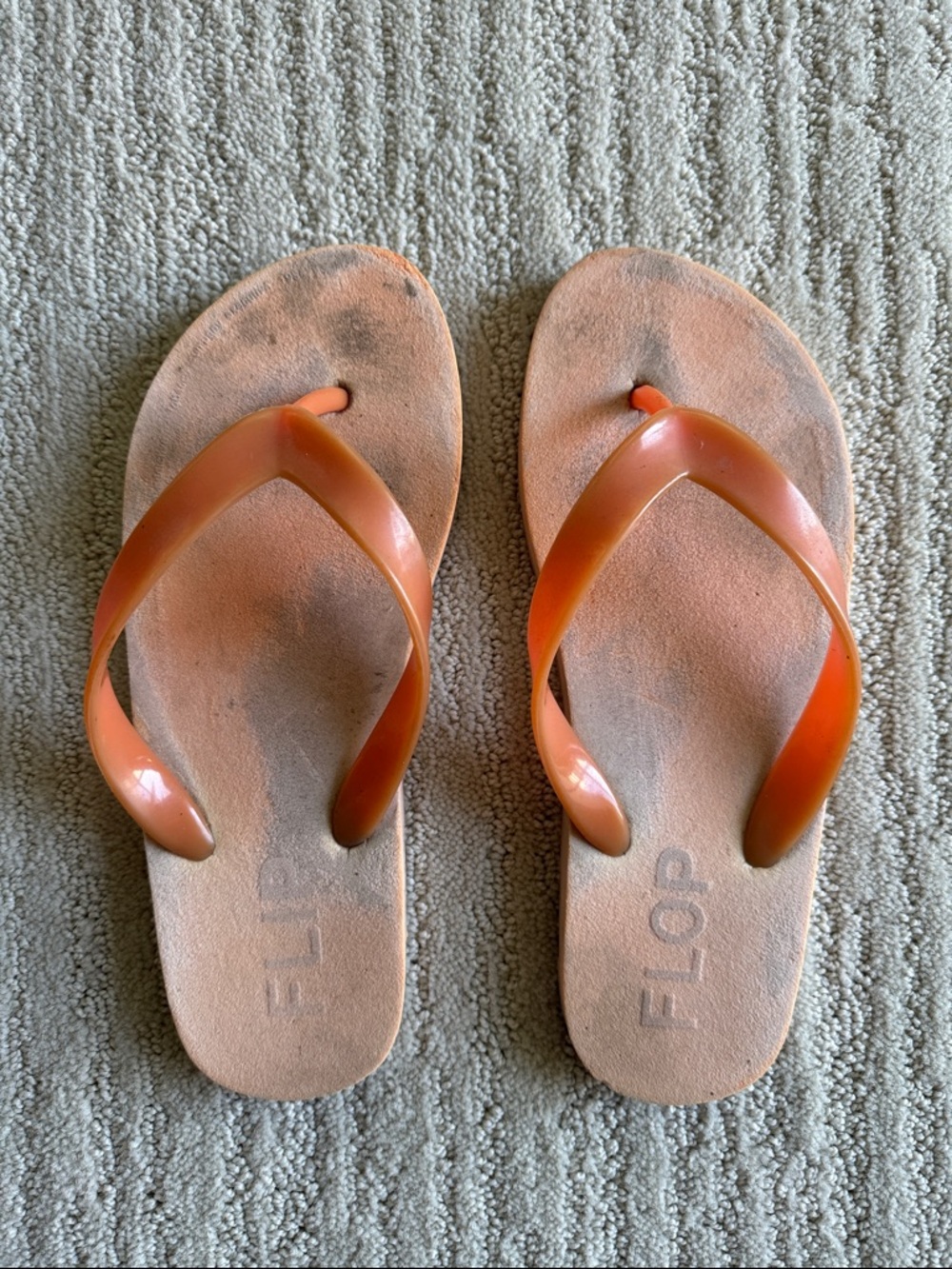 Seek Truth Flip Flops